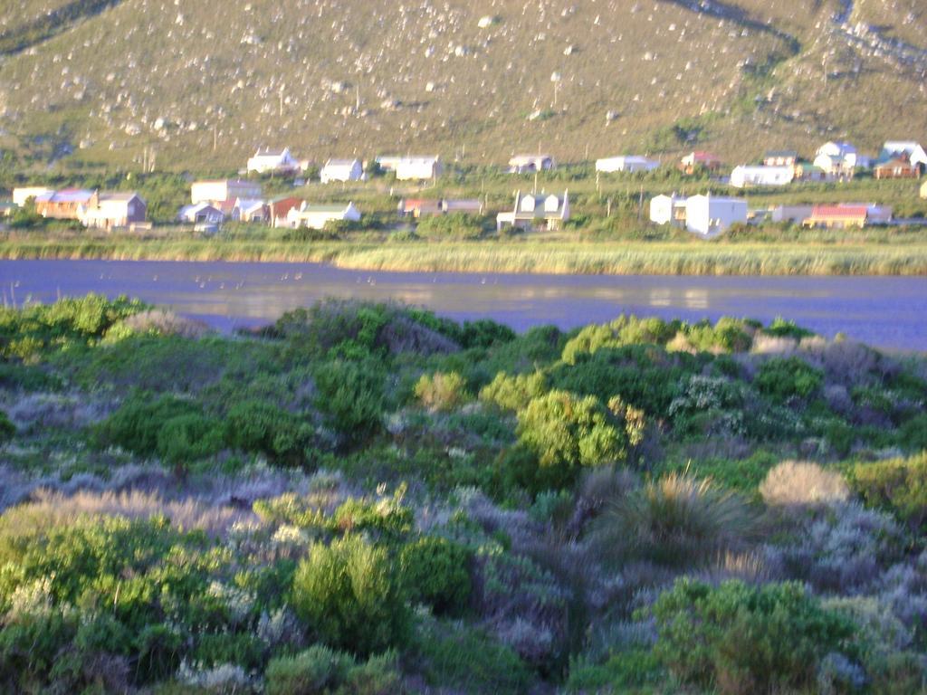 Vlei Studio Apartment Bettys Bay Exterior photo